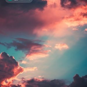 Meet your Posher, Roxanne